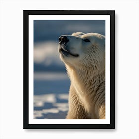 Polar Bear 2 Art Print