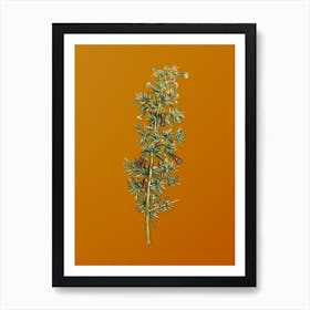 Vintage Kraal Honey Thorn Botanical on Sunset Orange n.0705 Art Print