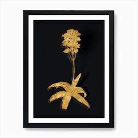 Vintage Sun Star Botanical in Gold on Black Art Print