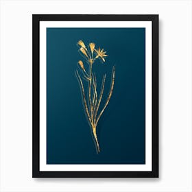 Vintage Amaryllis Montana Botanical in Gold on Teal Blue n.0325 Art Print