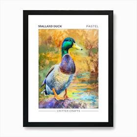Mallard Duck Pastel Watercolour 4 Poster Art Print