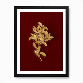 Vintage Evergreen Oak Botanical in Gold on Red n.0512 Art Print
