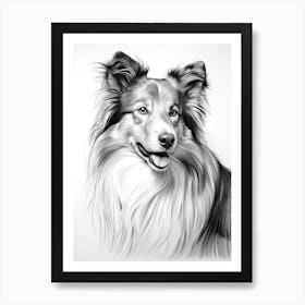 Shetland Sheepdog Dog, Line Drawing 2 Art Print