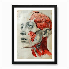 Anatomy Of The Human Head biology Art Print