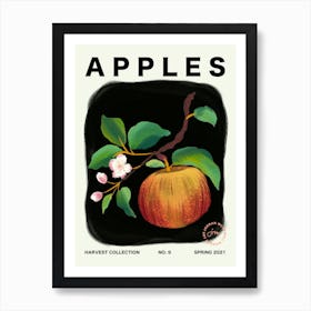 Apples Fruit Kitchen Typography Art Print