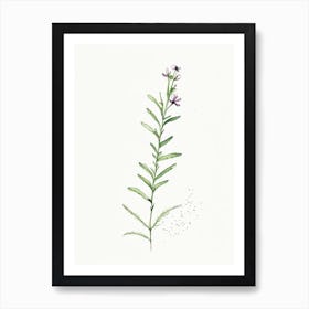 Eyebright Herb Minimalist Watercolour Art Print