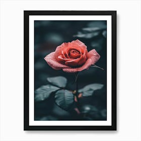 Rose Wallpaper 8 Art Print