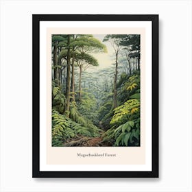 Magoebaskloof Forest 2 Art Print