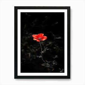 Single Red Poppy Poster