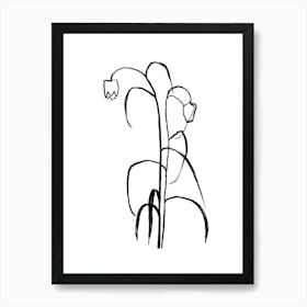 Tulip Of The forest Art Print Art Print