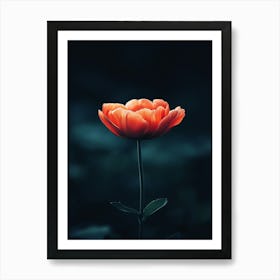 Tulip Flower Art Print