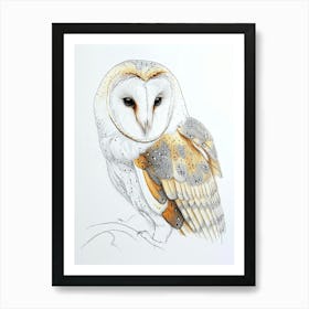 Barn Owl Drawing 3 Art Print