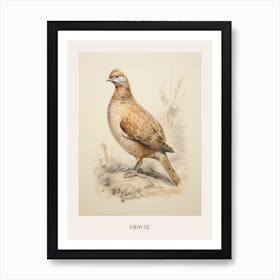 Vintage Bird Drawing Grouse 3 Poster Art Print