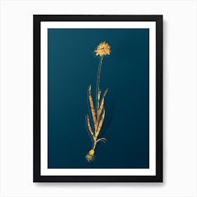 Vintage Orange Ixia Botanical in Gold on Teal Blue n.0090 Art Print
