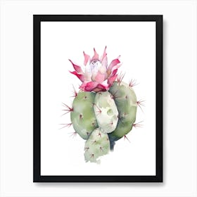 Crown Of Thorns Cactus Watercolour Drawing 3 Art Print