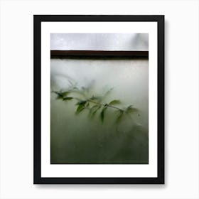 Plants against the window Art Print