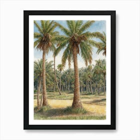 Palm Trees Art Print