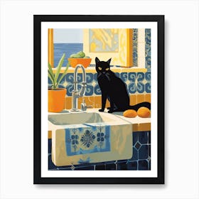 Black Cat In The Kitchen Sink, Mediterranean Style 2 Art Print