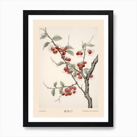 Sakura Cherry Blossom 3 Vintage Japanese Botanical Poster Art Print