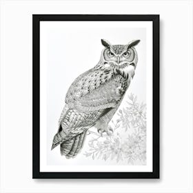 Philipine Eagle Owl Drawing 2 Art Print