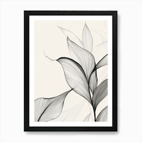 Black And White Leaves 1 Art Print