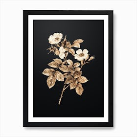Gold Botanical Short Styled Field Rose on Wrought Iron Black n.1147 Art Print