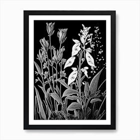 Fringed Loosestrife Wildflower Linocut Art Print