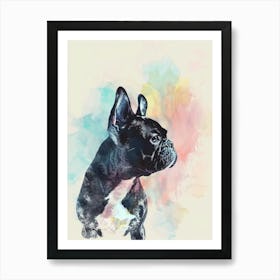 Boston Terrier Dog Pastel Line Watercolour Illustration  2 Art Print