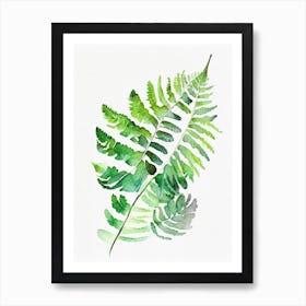 Delta Maidenhair Fern Watercolour Art Print