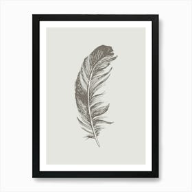 Grey Feather Print 4 Art Print