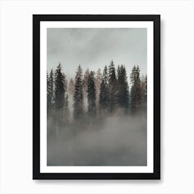 Foggy Evergreen Forest Art Print