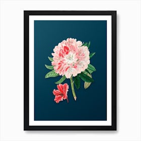 Vintage Rhododendron Flower Botanical Art on Teal Blue n.0441 Art Print