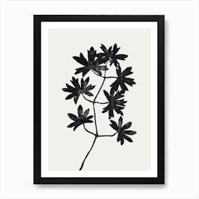 Black Blockprint Leaves Art Print