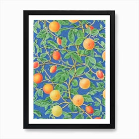 Grapefruit Vintage Botanical Fruit Art Print