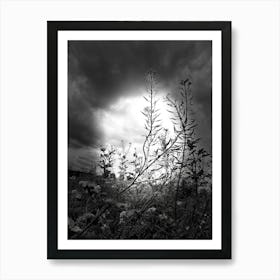 Black And White 2 Art Print