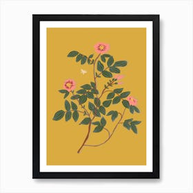 Wild Rose Art Print