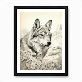 Gray Wolf Vintage Drawing 3 Art Print