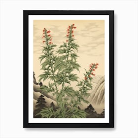 Yomogi Japanese Mugwort 1 Japanese Botanical Illustration Art Print