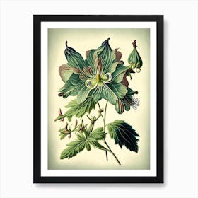 Columbine Wildflower Vintage Botanical 2 Art Print