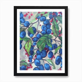Loganberry Classic Fruit Art Print