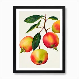 Rose Apple Watercolour Fruit Painting Fruit Art Print