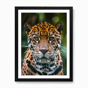 Jaguar Art Print