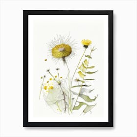 Dandelion Spices And Herbs Pencil Illustration 1 Art Print