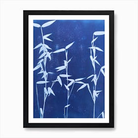 Blue Cyanotype Bamboo Print 3 Art Print