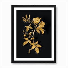Vintage Velvet China Rose Botanical in Gold on Black n.0447 Art Print
