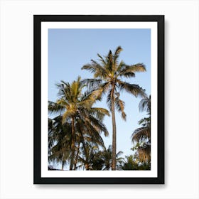Palmtree In The Sun Art Print