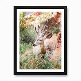 Deer Art Print