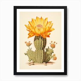 Vintage Cactus Illustration Golden Barrel Cactus Art Print