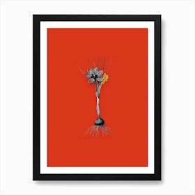 Vintage Crocus Sativus Black and White Gold Leaf Floral Art on Tomato Red n.0978 Art Print