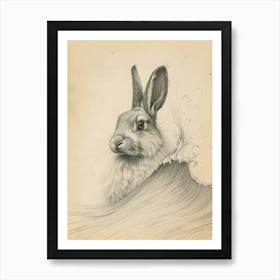 English Angora Rabbit Drawing 1 Poster